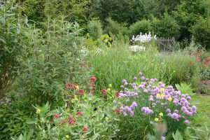 Biodiversiteit vlindertuin